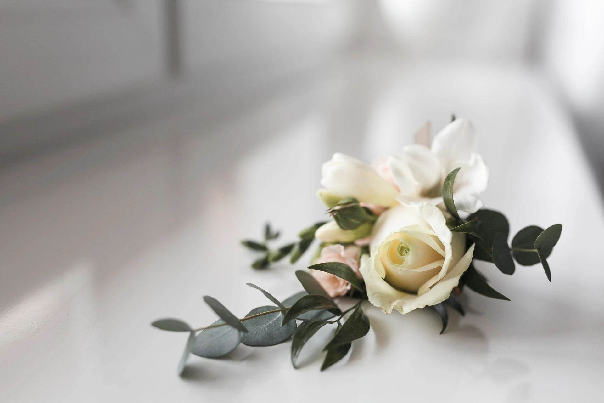 Roses blanches et feuillage dans une lumière douce
