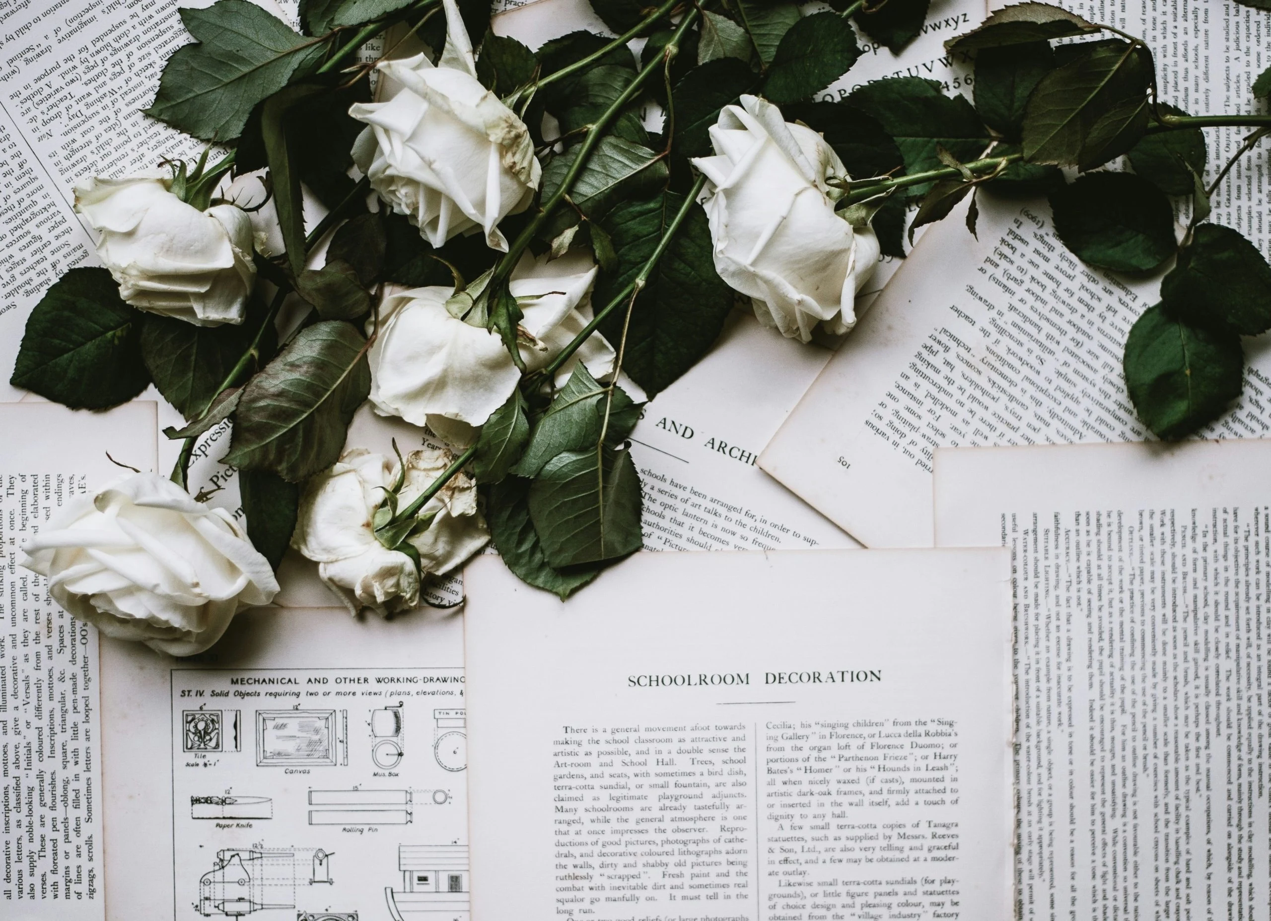 Roses blanches déposées sur des pages de souvenirs